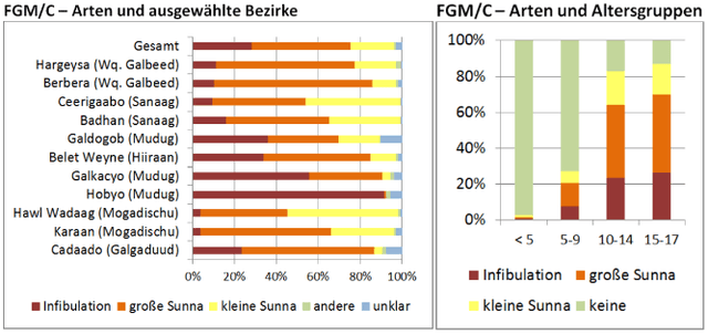 Form von FGM nach ausgewählten Bezirken und Altersgruppen
